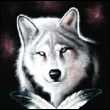 ars098098